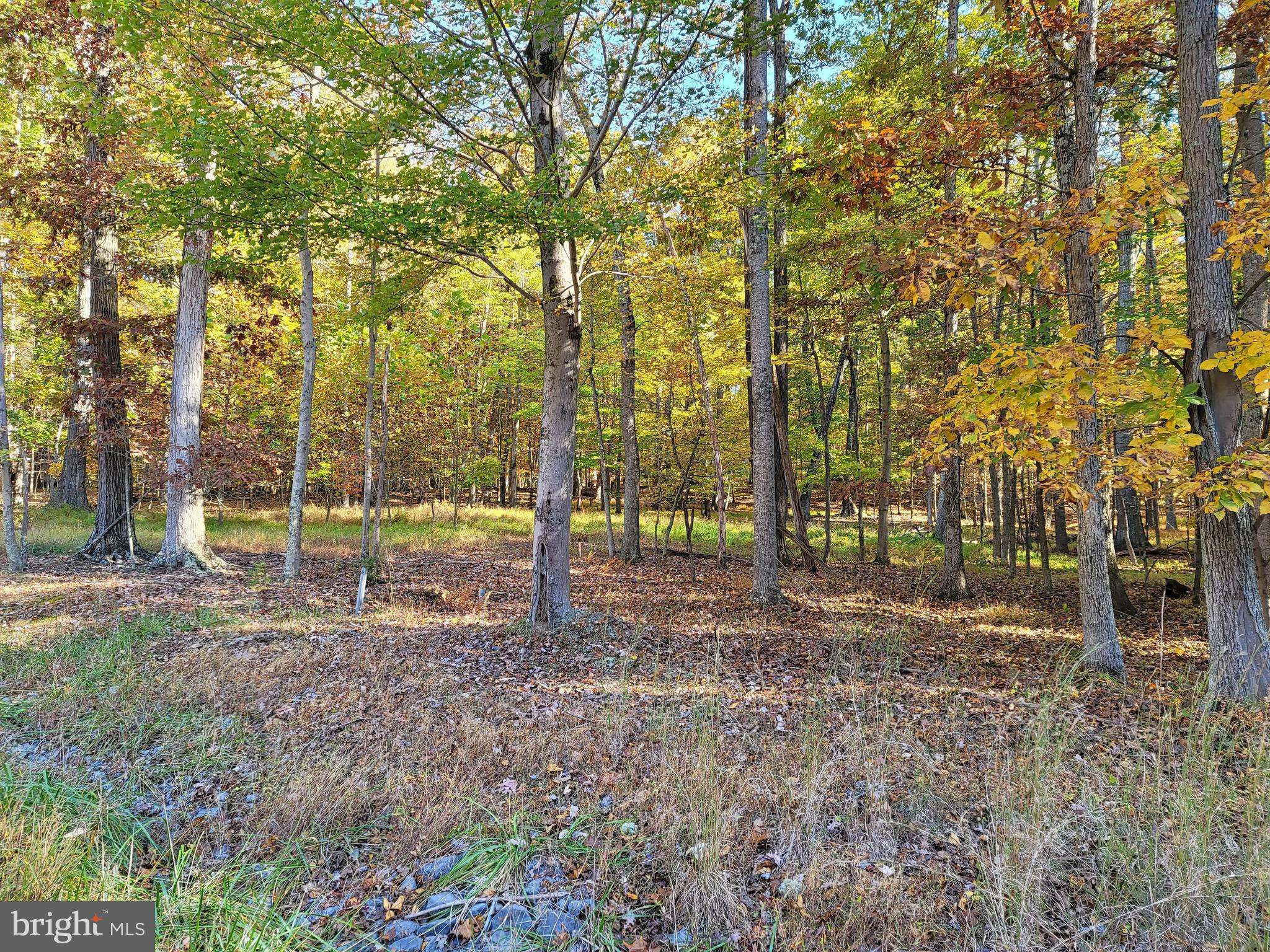 Harpers Ferry, WV 25425,734 MULTNOMAH LN #LOT 15