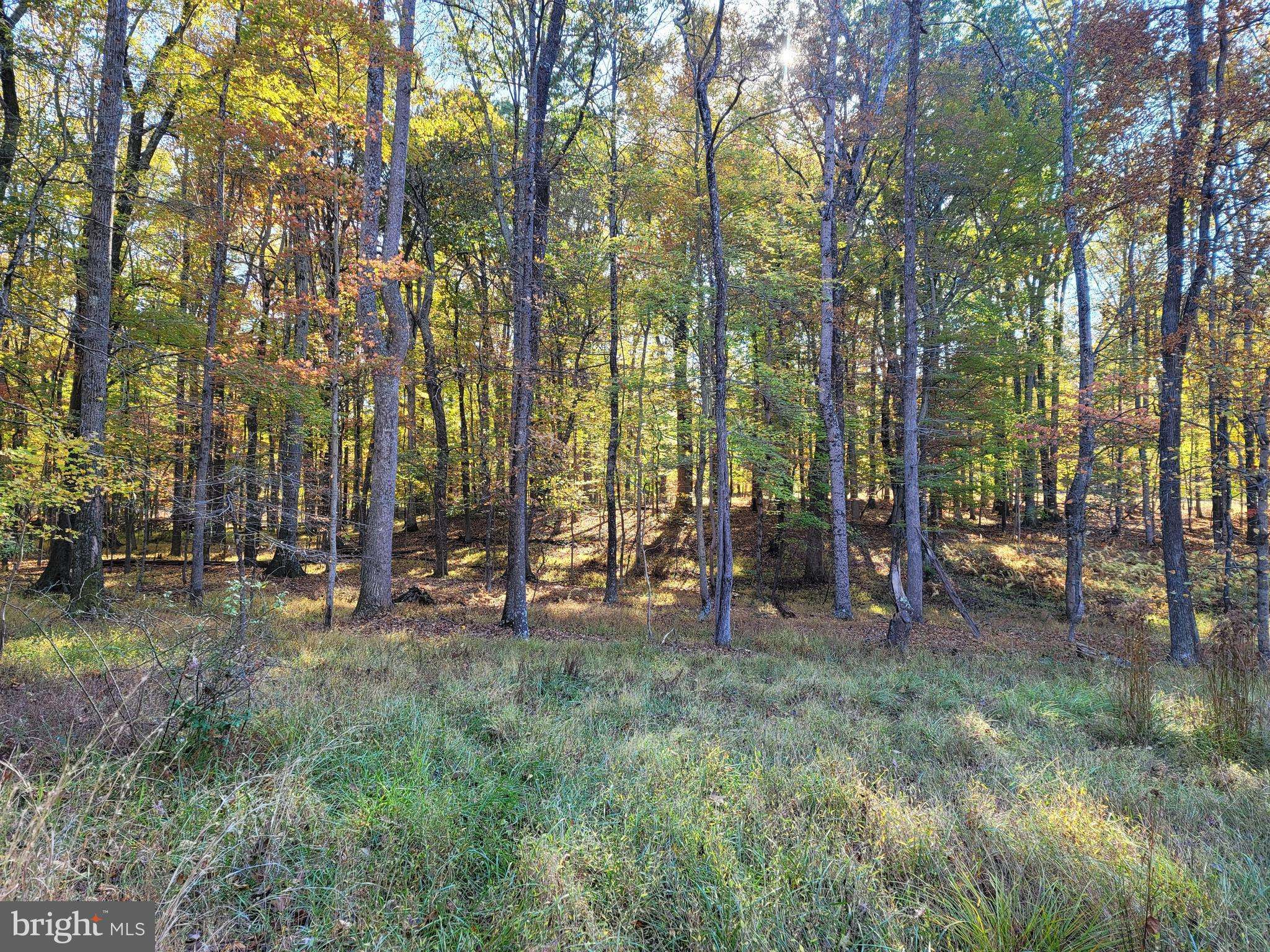 Harpers Ferry, WV 25425,734 MULTNOMAH LN #LOT 15