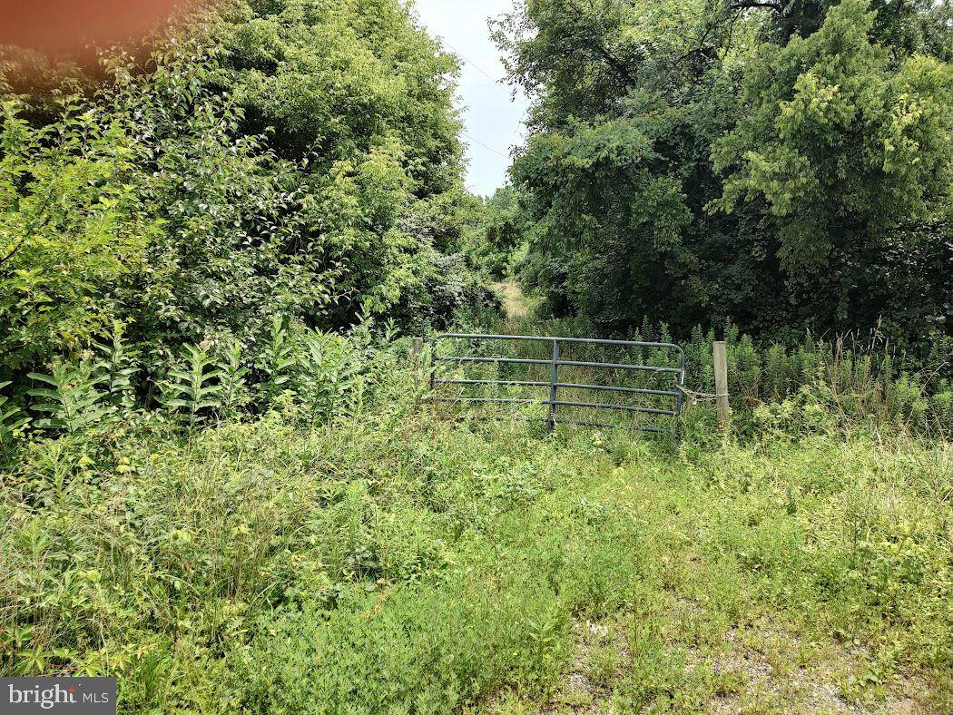 Elkton, MD 21921,E PULASKI HWY