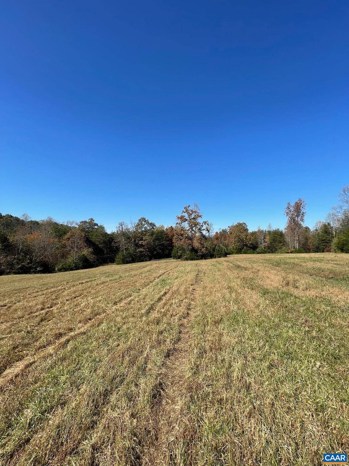 Ruckersville, VA 22968,TBD 4 FRAYS MILL RD