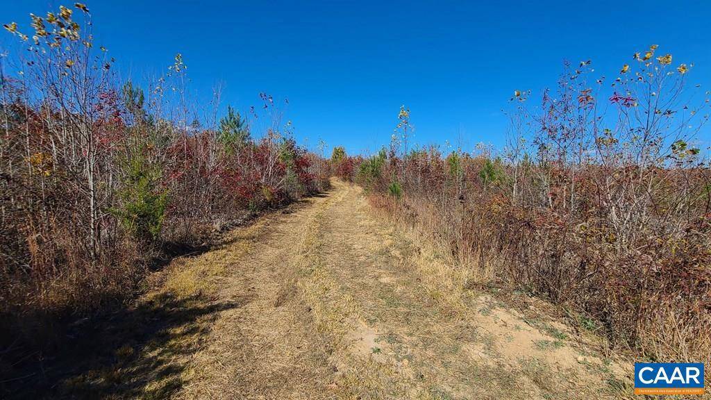 Dillwyn, VA 23936,80 AC ANDERSONVILLE RD