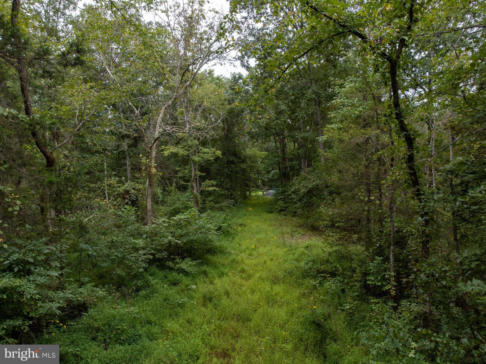 Rapidan, VA 22733,LOT 74 56B WILHOITE LN