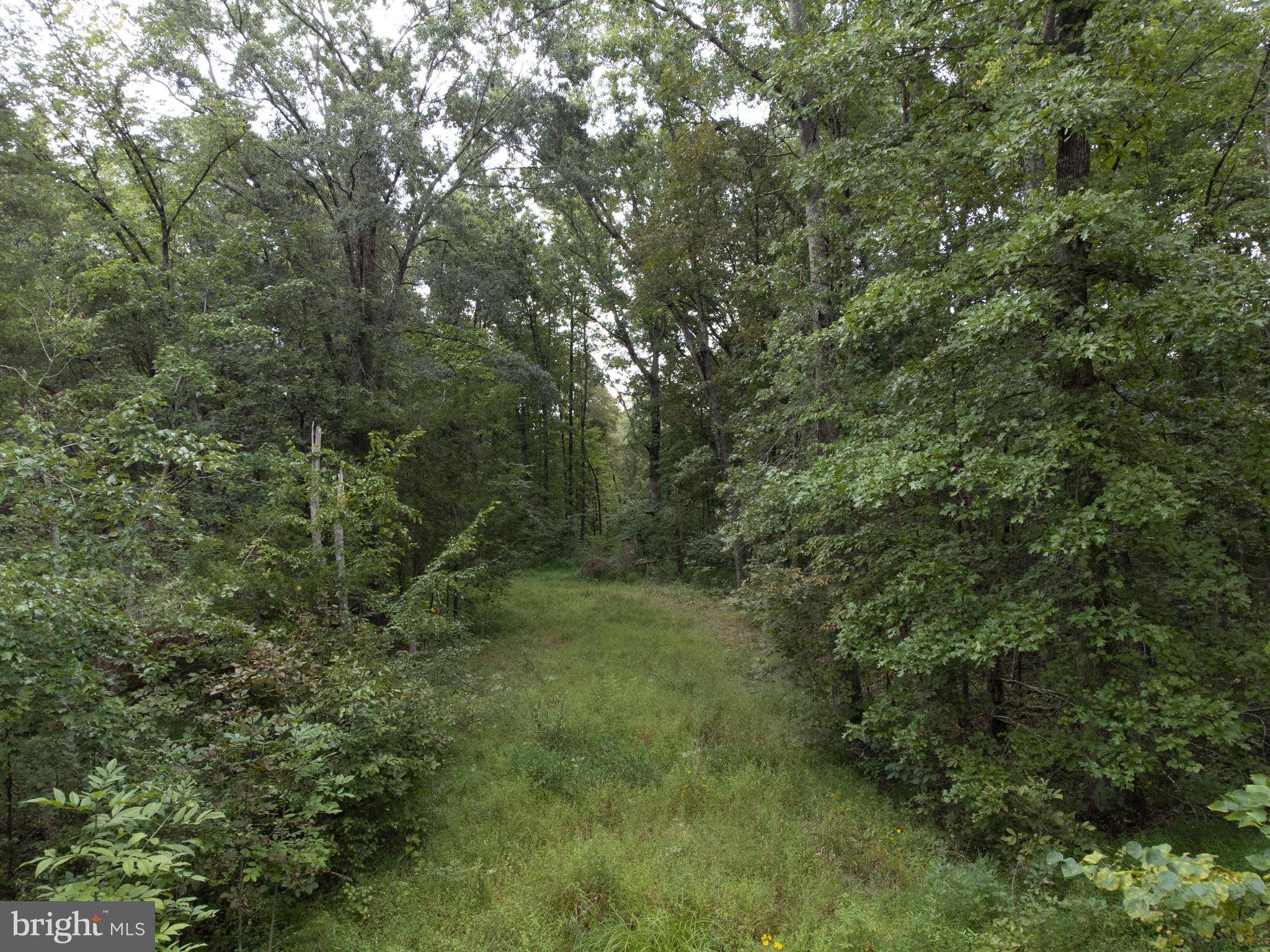 Rapidan, VA 22733,LOT 74 56B WILHOITE LN