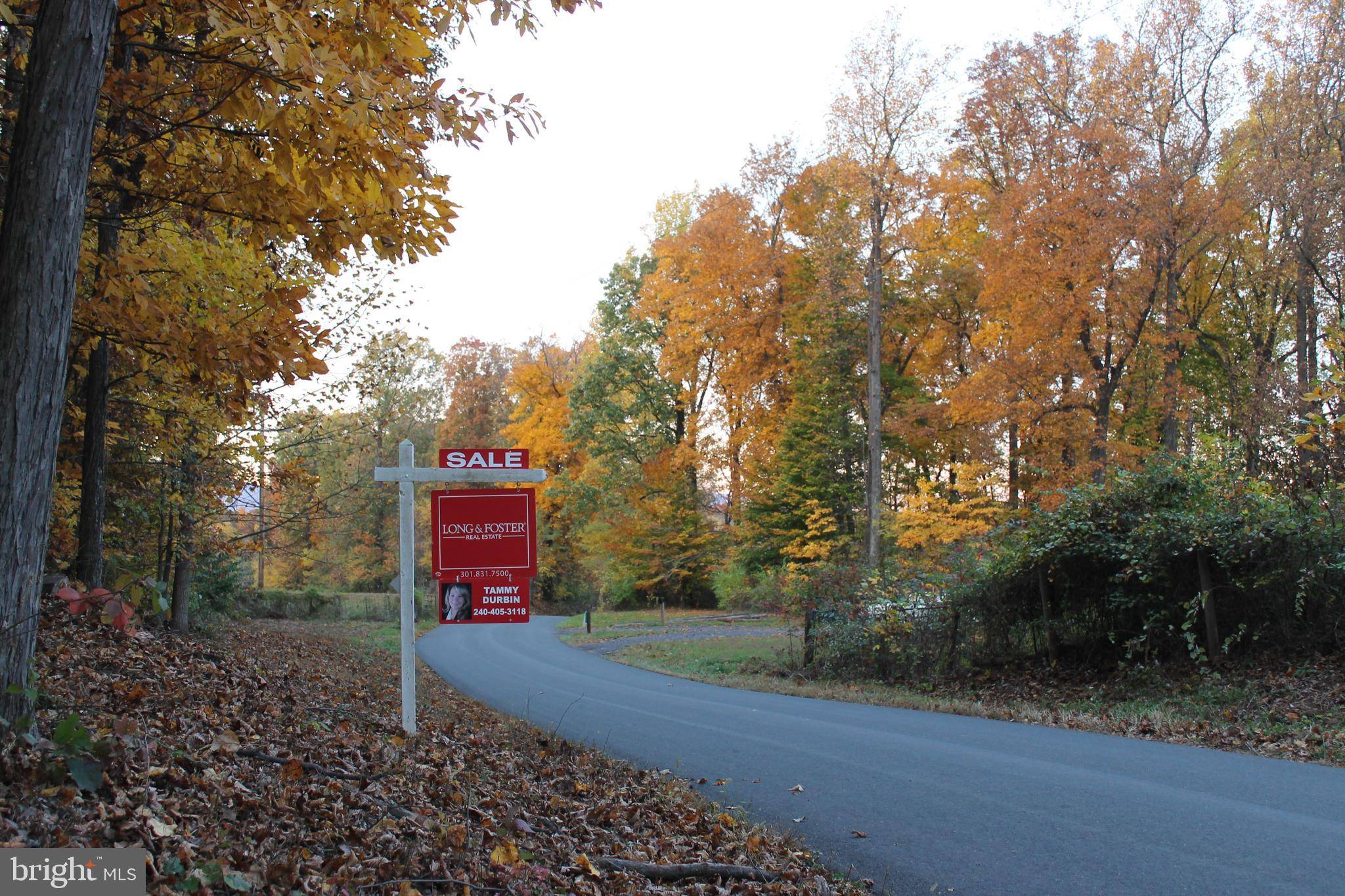 Thurmont, MD 21788,HESSONG BRIDGE