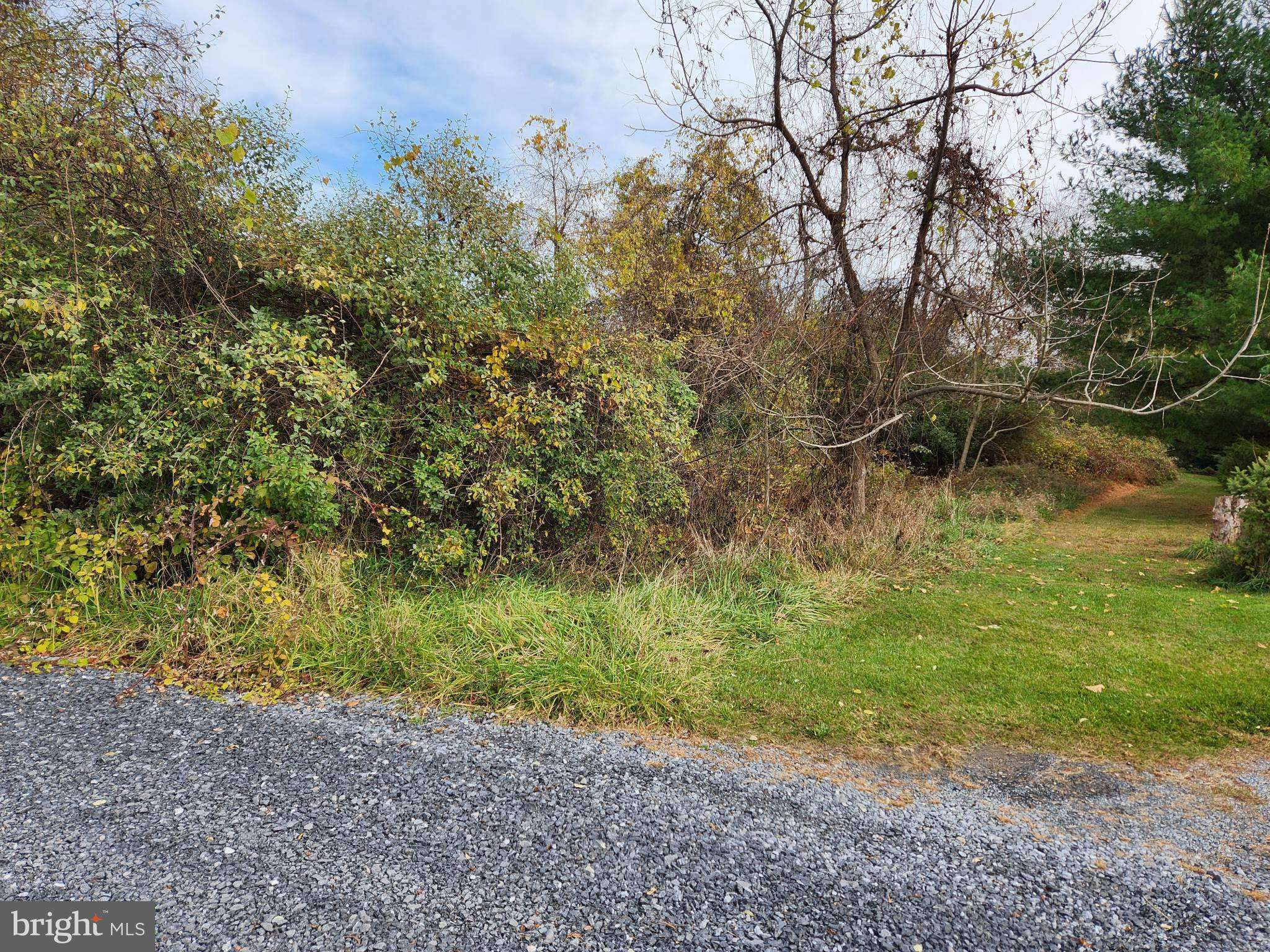 Shepherdstown, WV 25443,LOT 3 MUZZEY RD