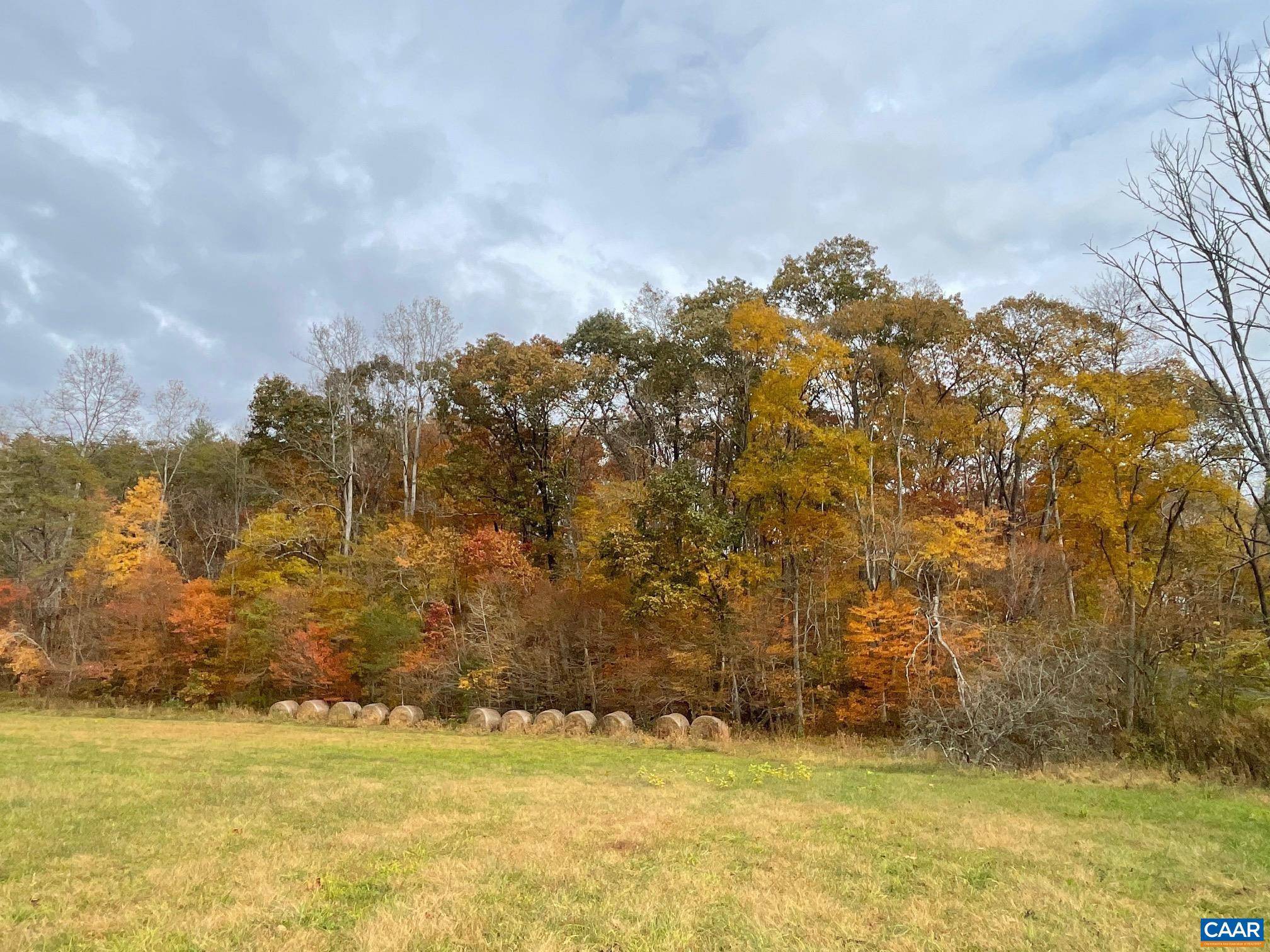 Stanardsville, VA 22973,TBD4 CHAPMAN RD