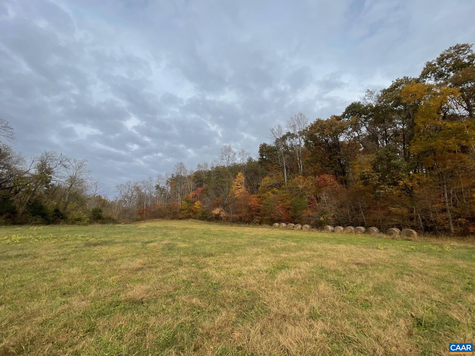 Stanardsville, VA 22973,TBD4 CHAPMAN RD