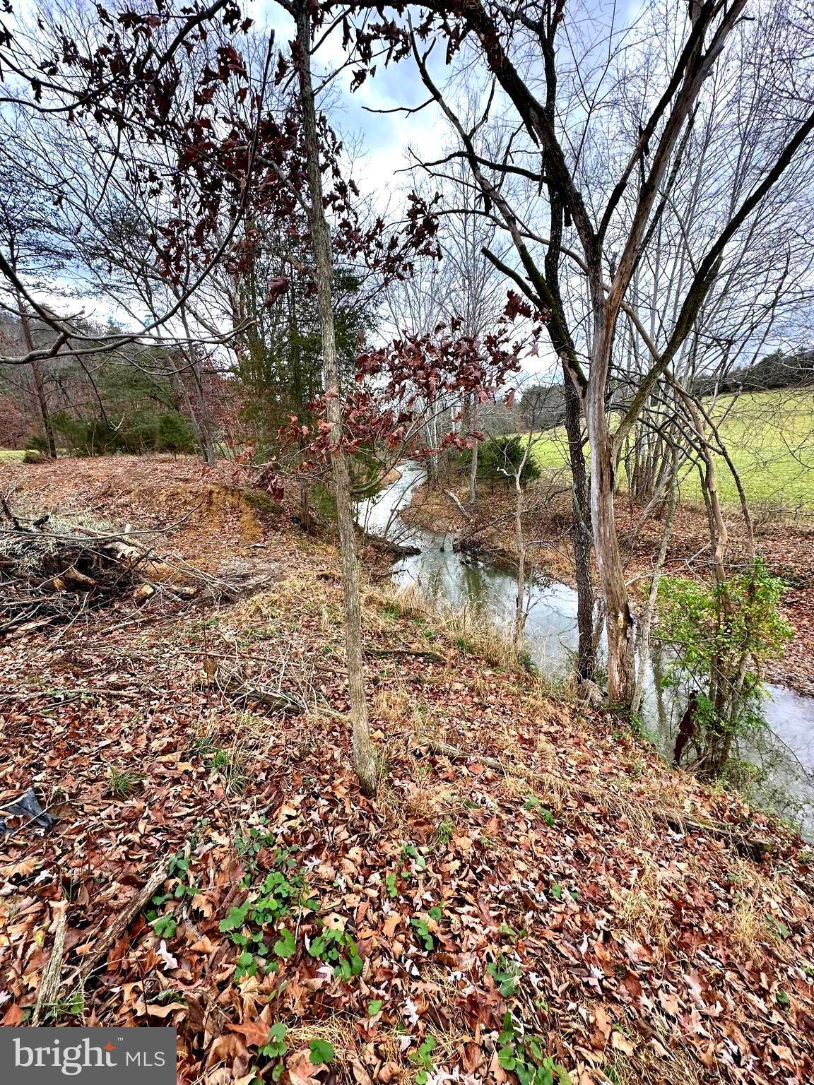 Petersburg, WV 26847,6.71 ACRES PETERSBURG PIKE