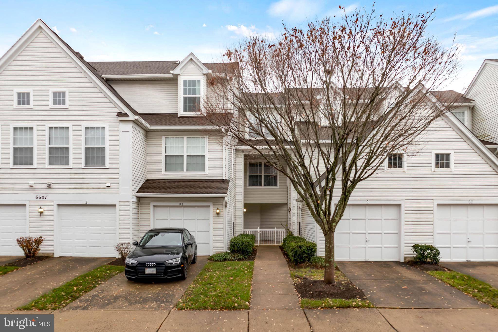 Alexandria, VA 22315,6607 NETTIES LN #1609