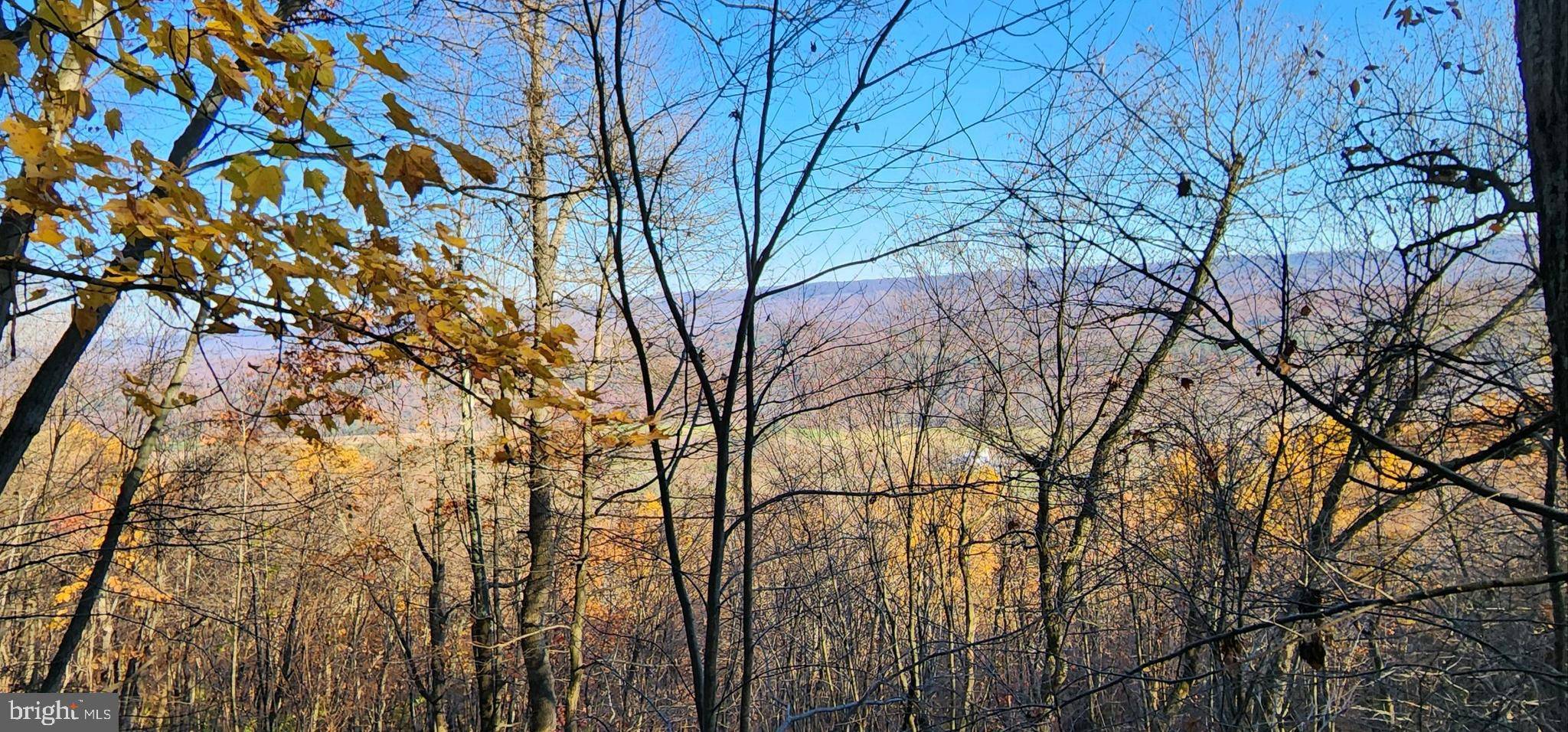 Shade Gap, PA 17255,00 SHADE VALLEY ROAD