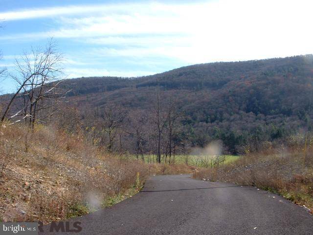 Spring Mills, PA 16875,ON WILDFLOWER LANE LN #LOT 7