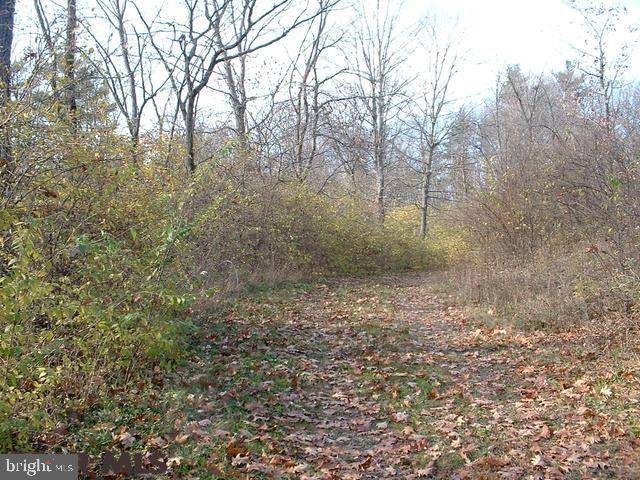 Spring Mills, PA 16875,ON WILDFLOWER LANE LN #LOT 7