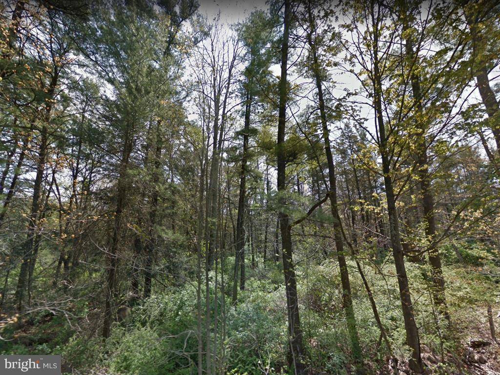 Spring Mills, PA 16875,283 MOUNTAIN BACK ROAD RD