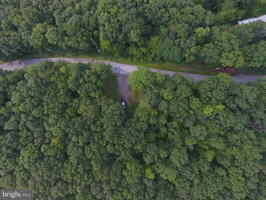 Bellefonte, PA 16823,LOT ON DEVILS ELBOW ROAD RD