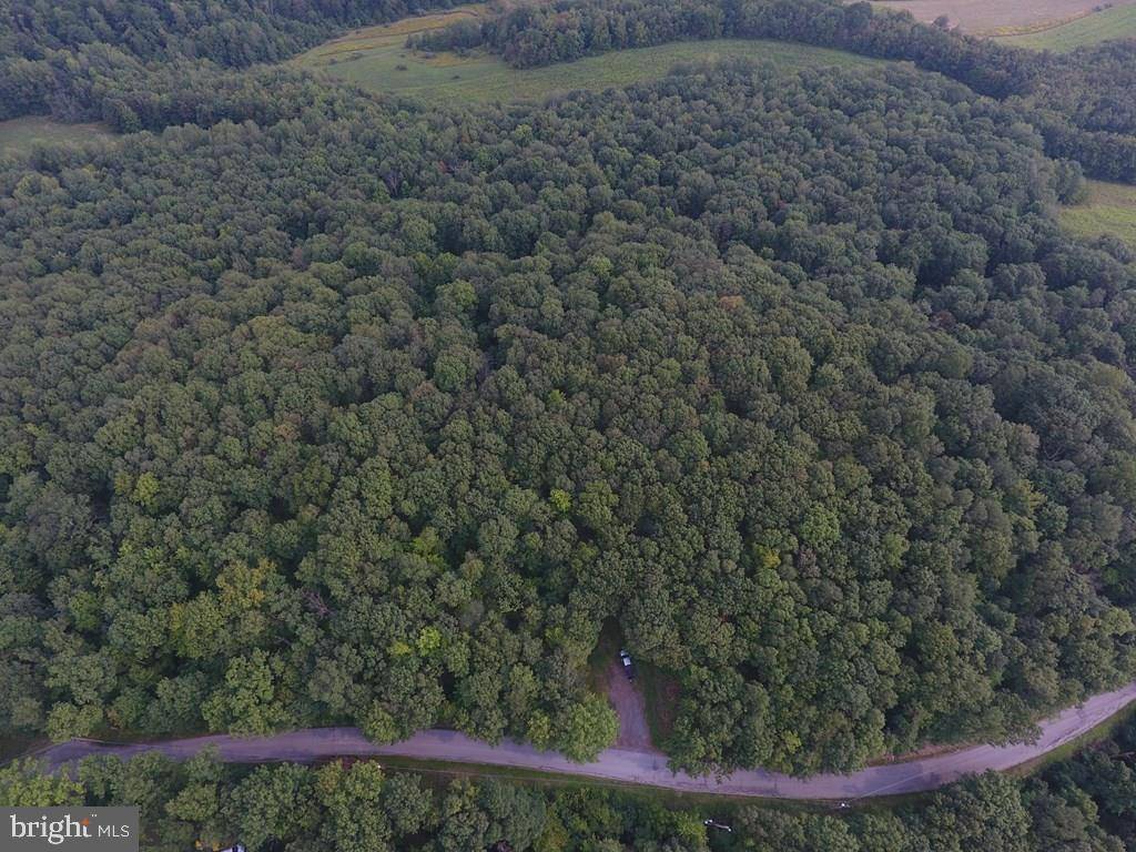 Bellefonte, PA 16823,LOT ON DEVILS ELBOW ROAD RD