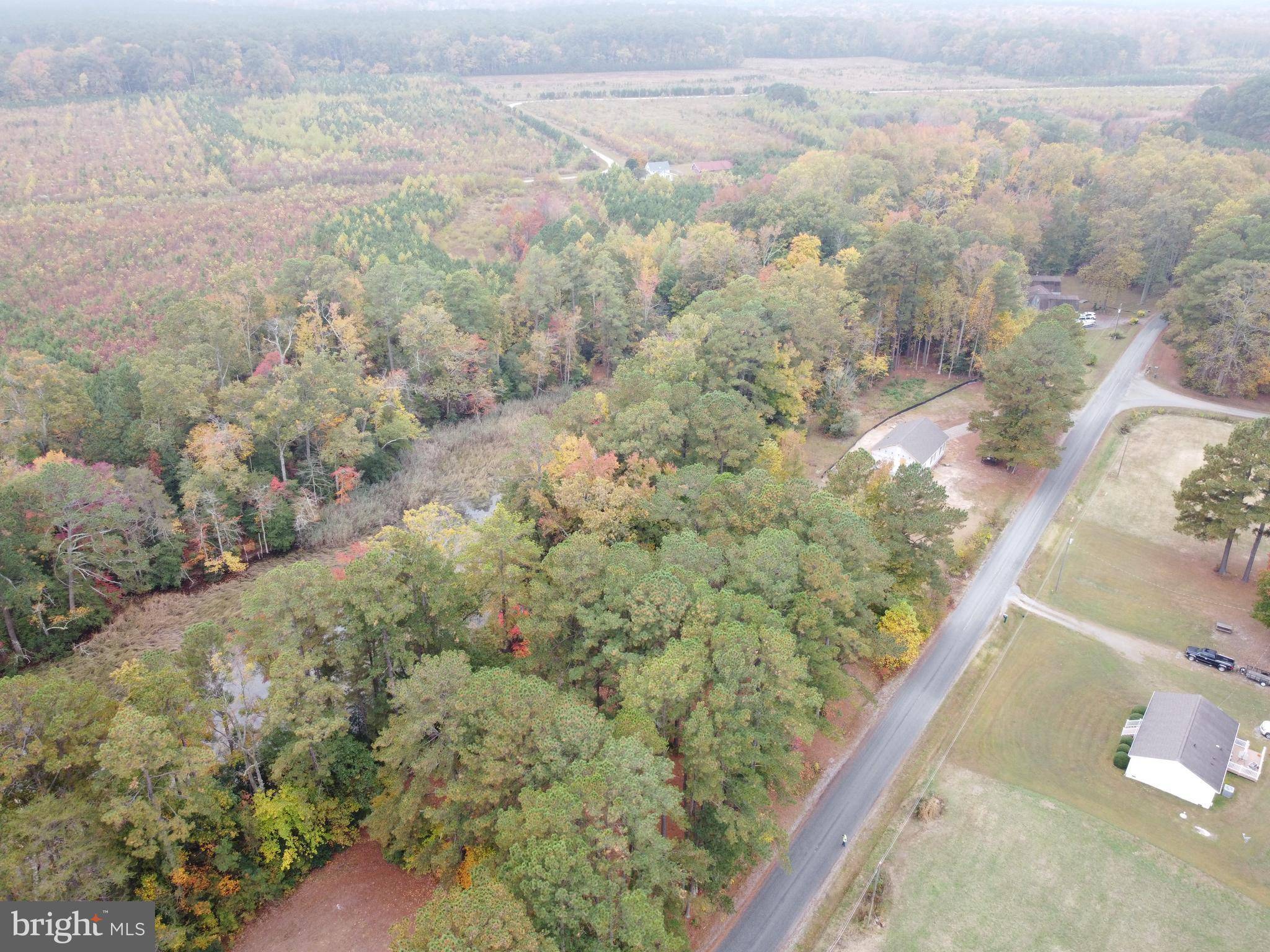 Montross, VA 22520,LOT #30 S GLEBE RD