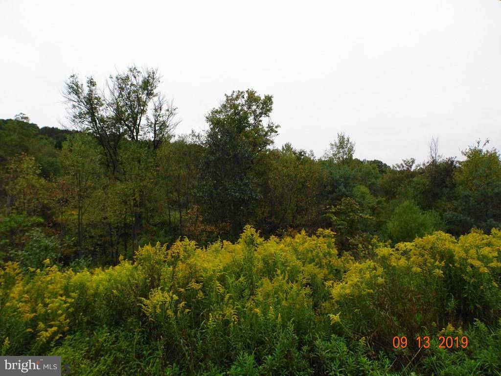 Clarence, PA 16829,LOT 1 & 2 TENNESSEE ROAD RD