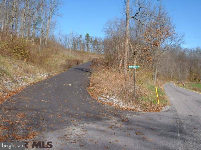 Spring Mills, PA 16875,ON WILDFLOWER LANE LN #LOT 6