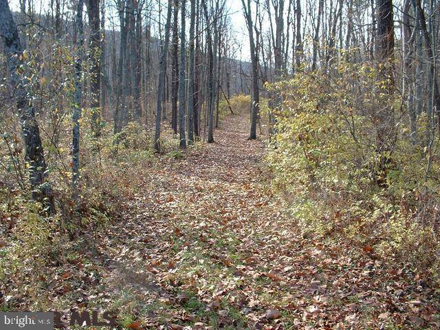 Spring Mills, PA 16875,ON WILDFLOWER LANE LN #LOT 6