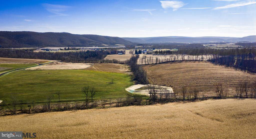 Spring Mills, PA 16875,LOT #4 BITNER HOLLOW ROAD RD