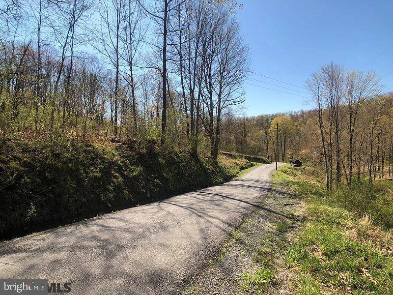 Tyrone, PA 16686,LOT 4 BAUGHMAN CEMETERY ROAD RD