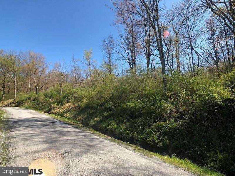 Tyrone, PA 16686,LOT 5 BAUGHMAN CEMETERY ROAD RD