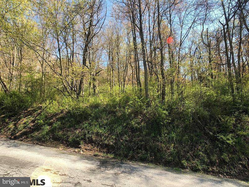 Tyrone, PA 16686,LOT 6 BAUGHMAN CEMETERY ROAD RD