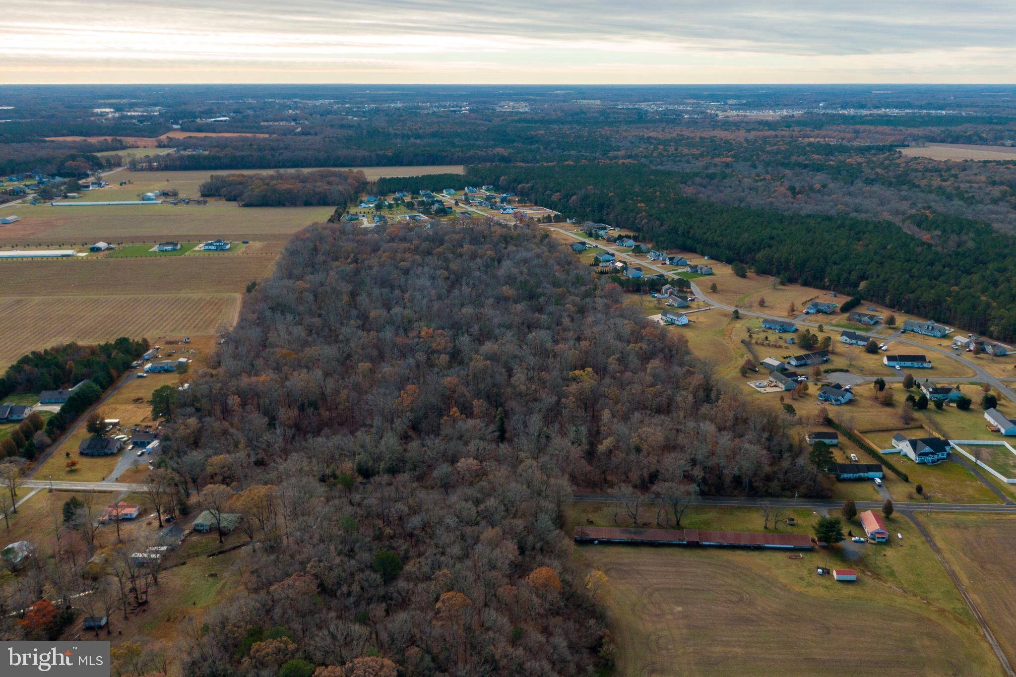 Millsboro, DE 19966,50 ACRES MORRIS MILL RD