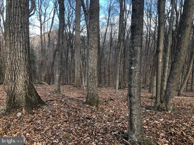 Mathias, WV 26812,LOT 26D COVE RUN ACRES DR