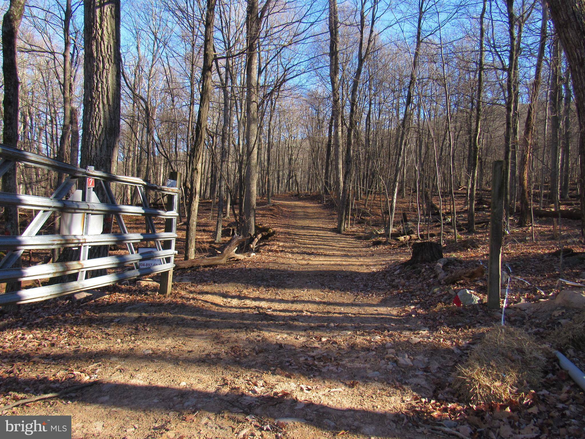 Mathias, WV 26812,LOT 26D COVE RUN ACRES DR