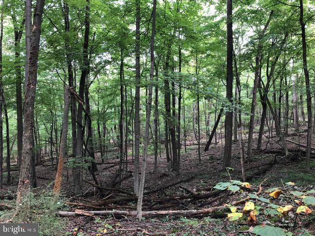 Mathias, WV 26812,LOT 26D COVE RUN ACRES DR