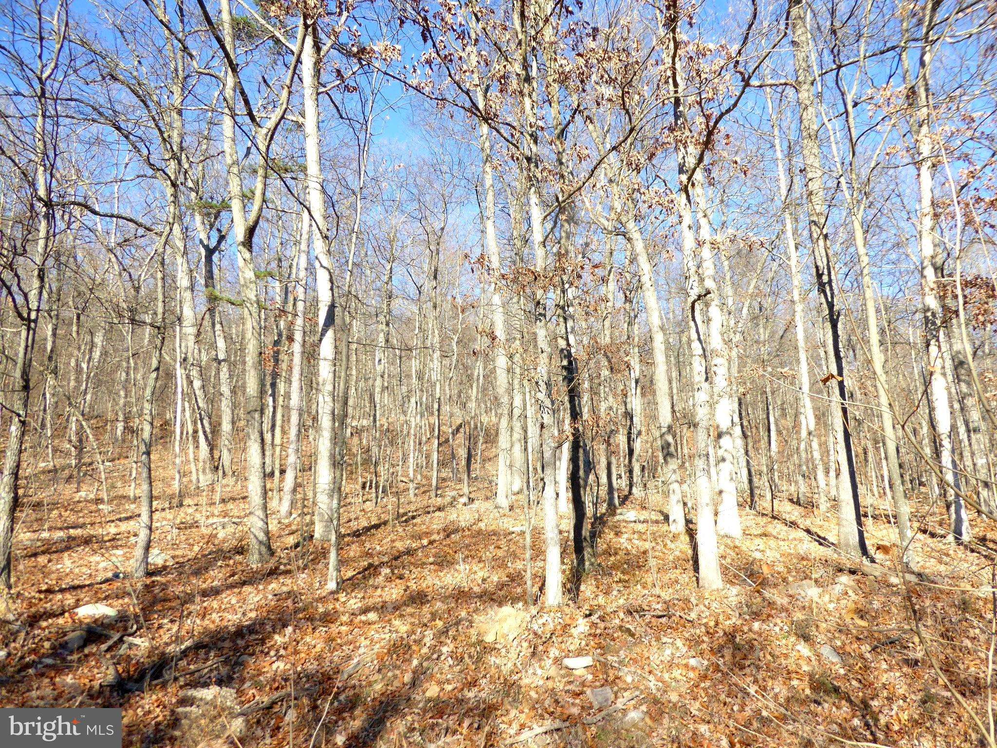 Paw Paw, WV 25434,LOT 33-A FALCONWOOD RD