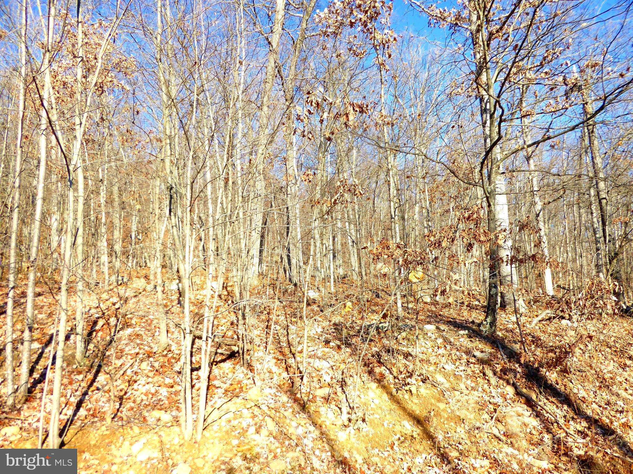 Paw Paw, WV 25434,LOT 33-A FALCONWOOD RD