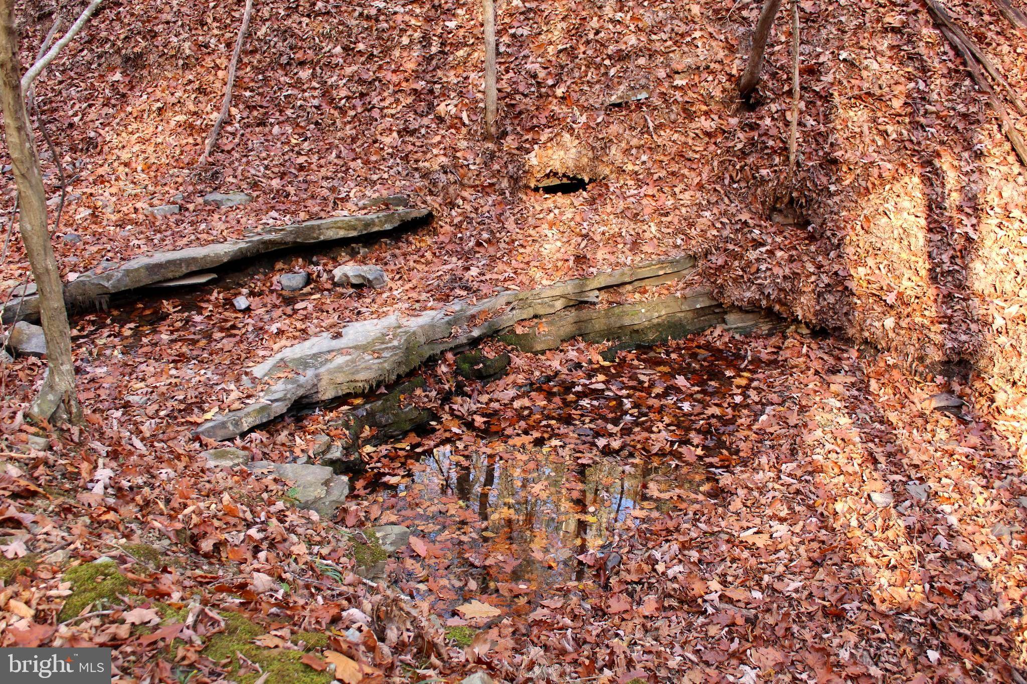 New Creek, WV 26743,OFF FALLS RUN RD