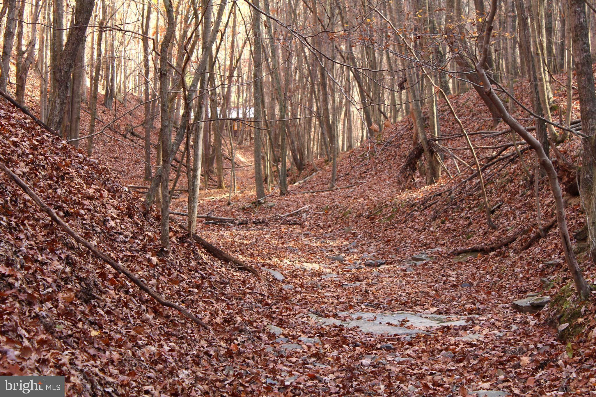 New Creek, WV 26743,OFF FALLS RUN RD