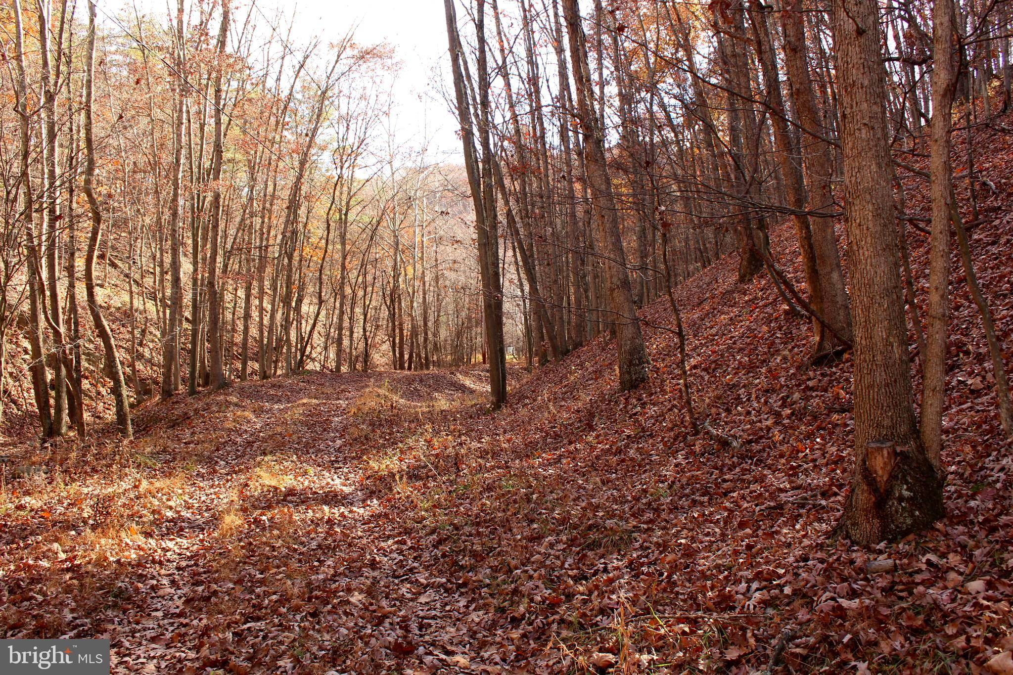 New Creek, WV 26743,OFF FALLS RUN RD