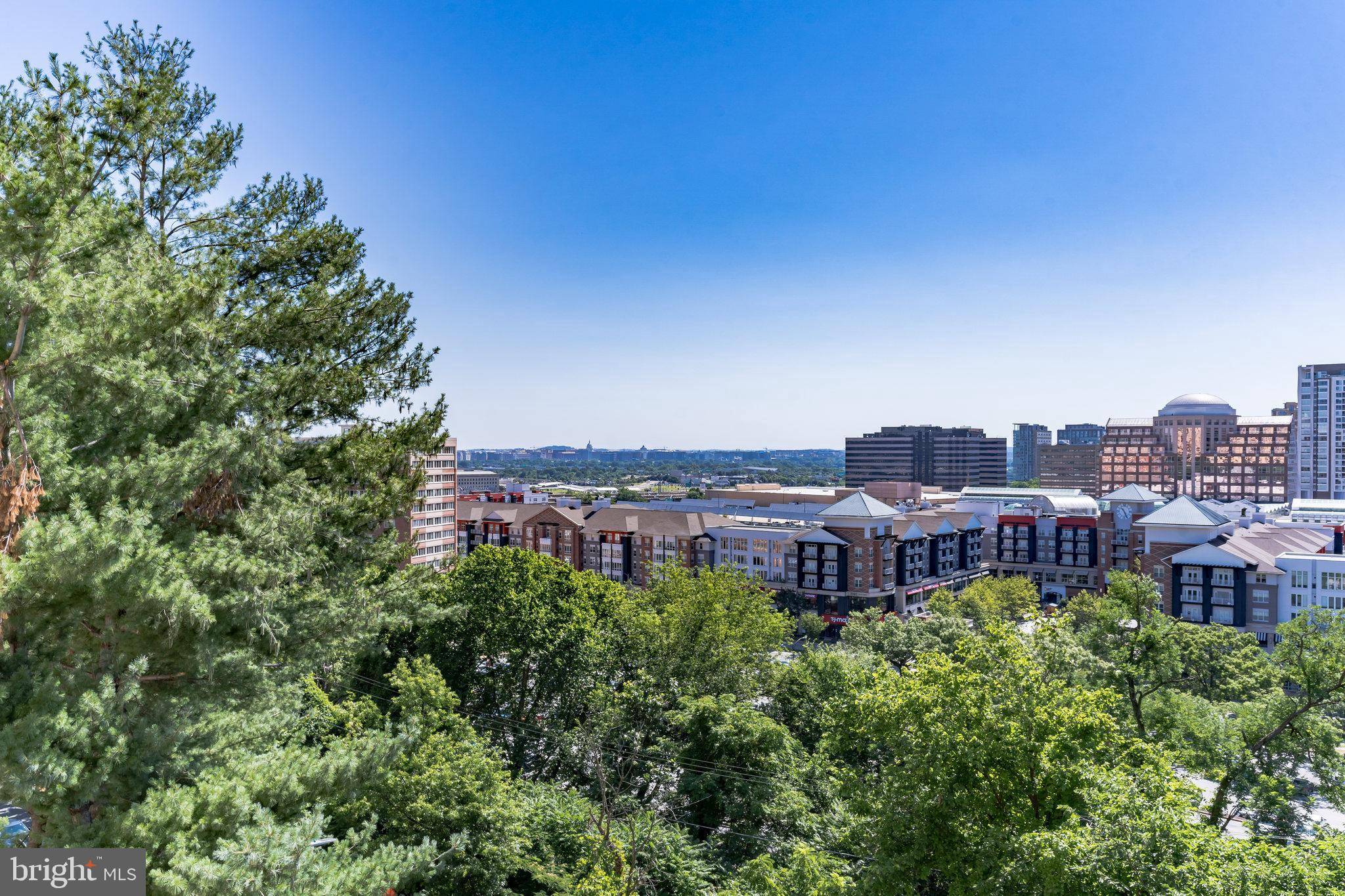 Arlington, VA 22202,1101 S ARLINGTON RIDGE RD #503