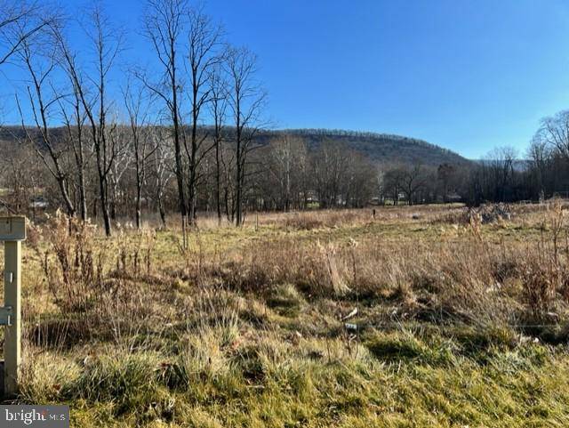 Manns Choice, PA 15550,LOT X ALLEGHENY ROAD