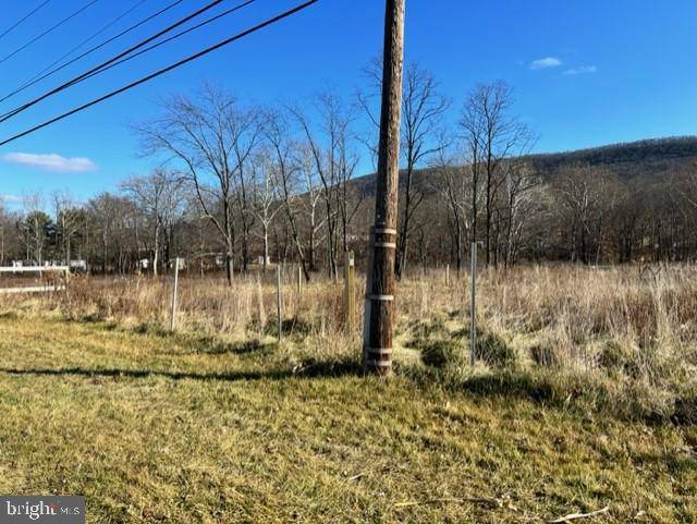 Manns Choice, PA 15550,LOT X ALLEGHENY ROAD