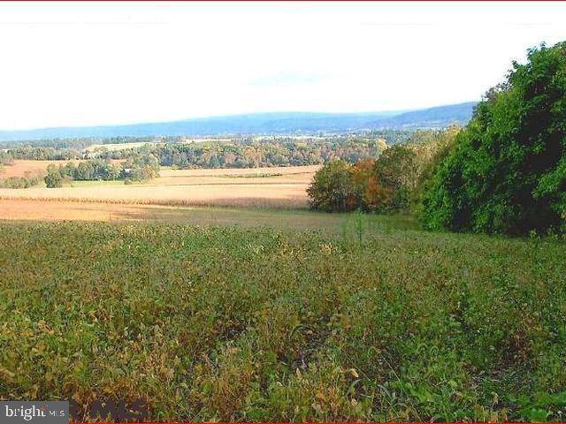 Centre Hall, PA 16828,ON STRAWBERRY HILL ROAD RD #LOT 6