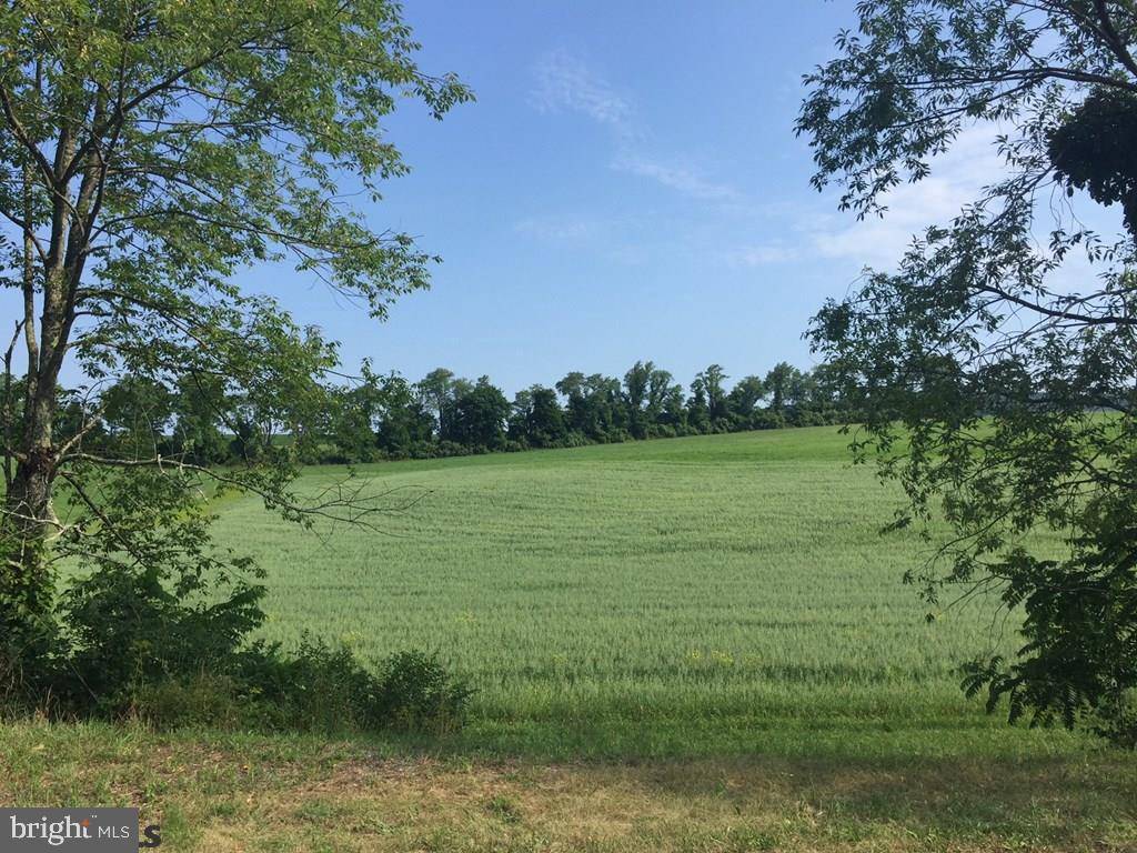 Spring Mills, PA 16875,ON LOWER GEORGES VALLEY ROAD RD #LOT 6