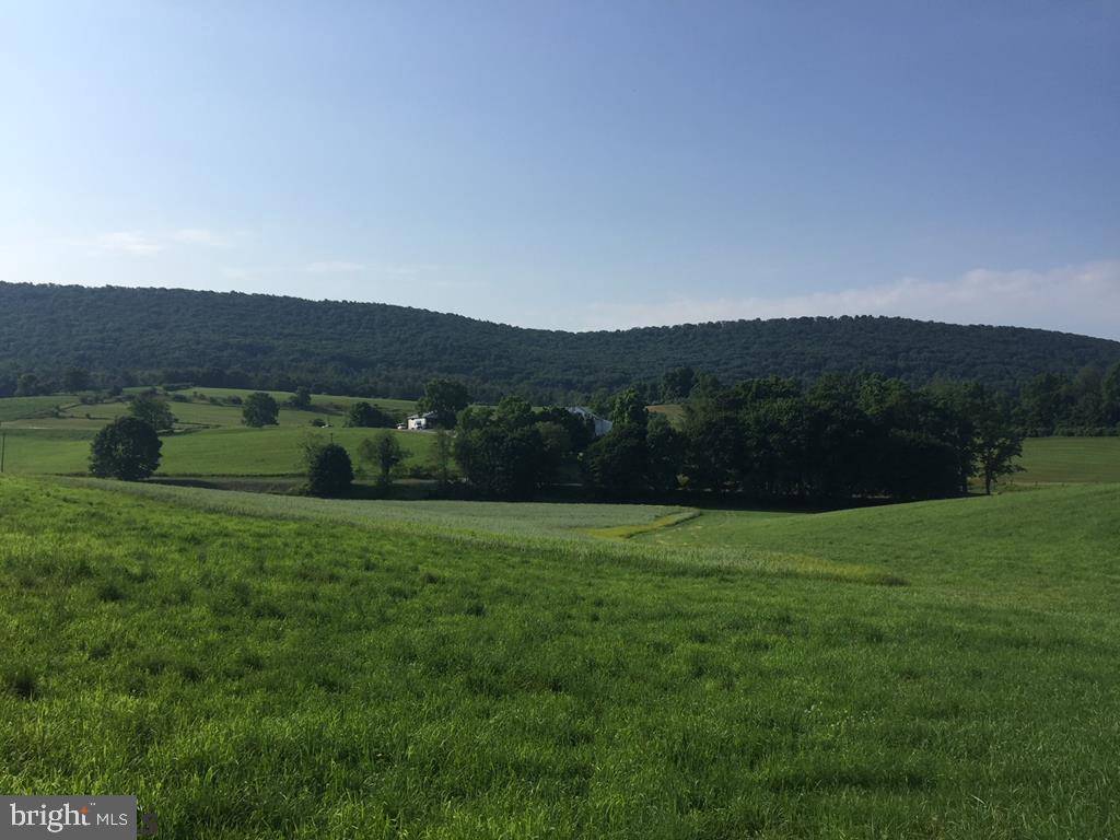 Spring Mills, PA 16875,ON LOWER GEORGES VALLEY ROAD RD #LOT 6