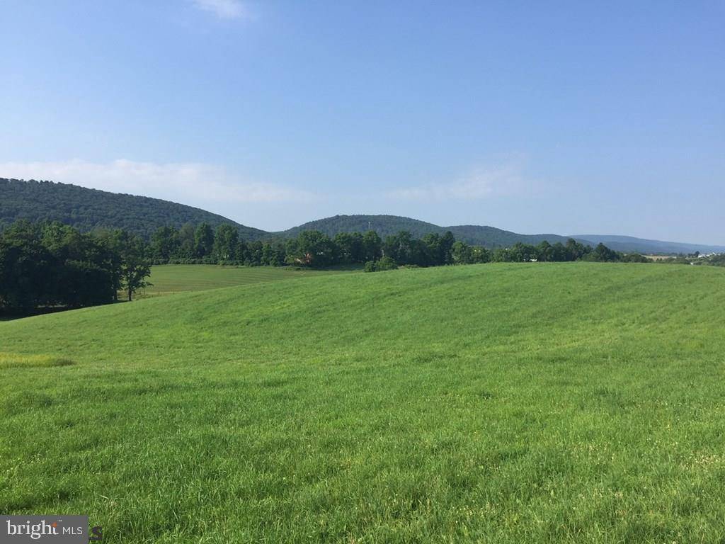 Spring Mills, PA 16875,ON LOWER GEORGES VALLEY ROAD RD #LOT 6