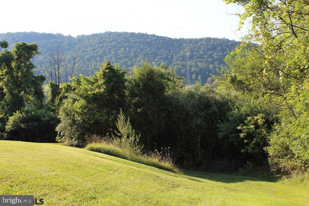 Bellefonte, PA 16823,ON SCENIC STREET ST