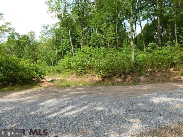 Saxton, PA 16678,LOT 13 TILLAMOOK LANE LN