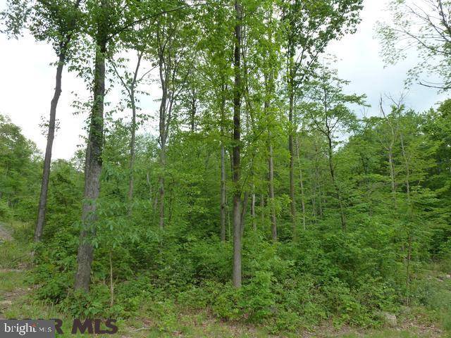 Saxton, PA 16678,LOT 13 TILLAMOOK LANE LN