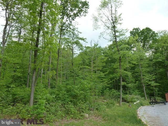 Saxton, PA 16678,LOT 13 TILLAMOOK LANE LN