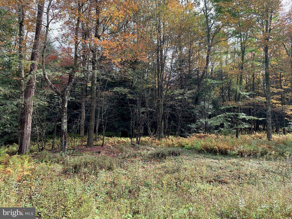 Philipsburg, PA 16866,LOT 12 TEABERRY DRIVE DR