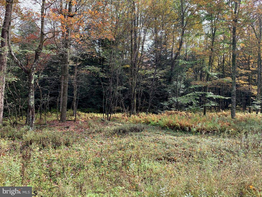 Philipsburg, PA 16866,LOT 12 TEABERRY DRIVE DR