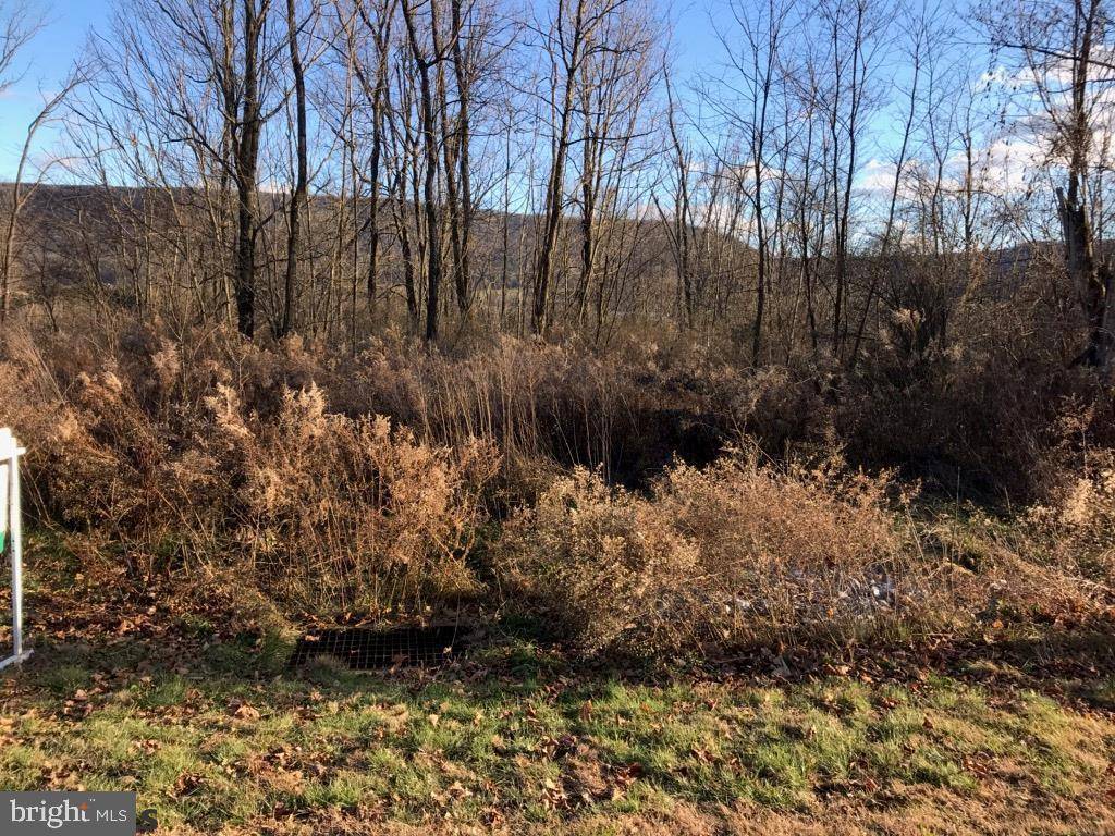 Mill Hall, PA 17751,114 LOT#17 WHITETAIL CIR